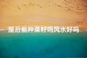 屋后能种菜籽吗风水好吗—屋后种什么菜风水好
