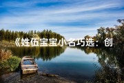 《姓伍宝宝小名巧选：创意命名大集合》