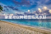 家里可以种稻田吗风水好吗;家里有田种什么好
