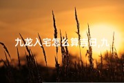 九龙入宅怎么算吉日,九龙入宅怎么算吉日的
