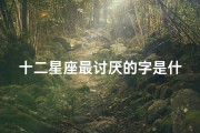 十二星座最讨厌的字是什么(12星座最讨厌写什么作业)