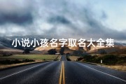 小说小孩名字取名大全集_《小说小孩名字大全集：创意命名宝典》