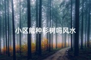 小区能种杉树吗风水