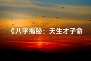 《八字揭秘：天生才子命运轨迹》