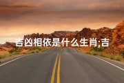 吉凶相依是什么生肖;吉凶相依生肖揭秘：探寻生肖命运之谜