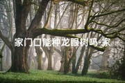 家门口能种龙眼树吗-家旁种龙眼风水宜忌解析