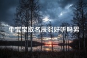 牛宝宝取名辰熙好听吗男孩