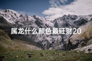 属龙什么颜色最旺财2024-2012年属龙旺色揭秘：哪个颜色最旺运势