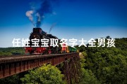 任姓宝宝取名字大全男孩(男宝宝任姓取名大全精选500个)