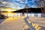 《揭秘清秀八字命理：独特特征解析》