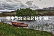 程序员给宝宝起名字(哪个起名的软件比较好用 )