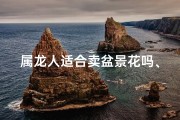 属龙人适合卖盆景花吗、属龙人卖盆景花：财运亨通的选择
