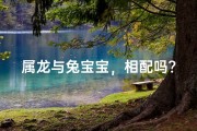 属龙与兔宝宝，相配吗？