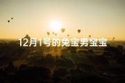 12月1号的兔宝男宝宝取名字、《12月1日诞生的兔宝男宝宝，喜提温馨新名》