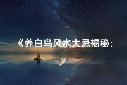 《养白鸟风水大忌揭秘：吉凶影响不容忽视》