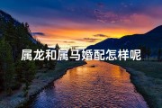 属龙和属马婚配怎样呢