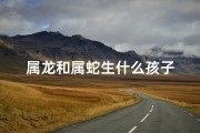 属龙和属蛇生什么孩子