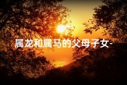 属龙和属马的父母子女-属马和龙的父母要哪个属的宝宝