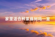 家里适合种紫藤树吗—室内养紫藤风水佳宜否？