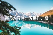 属龙人专属：兔摆件，招财旺运好选择