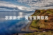 农家新生：兔宝宝男取名心意