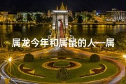 属龙今年和属鼠的人—属龙遇属鼠：2024年运势大揭秘