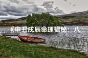 《申丑戌辰命理揭秘：八字地支案例分析》