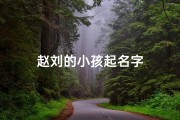 赵刘的小孩起名字
