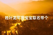 姓叶龙年男宝宝取名带个初字好吗;《叶龙年初生宝宝，寓意吉祥如意》