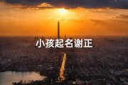 小孩起名谢正