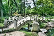 04年什么命五行-2004年出生的人究竟是什么命格？