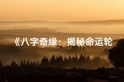 《八字奇缘：揭秘命运轮回之谜》