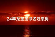 24年龙宝宝取名姓袁男孩