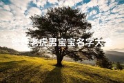 张姓老虎男宝宝名字大全;张姓老虎男宝宝名字大全两个字