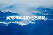 属龙和属马的相不相配_属龙遇属马，相冲如何化解？