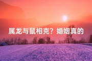 属龙与鼠相克？婚姻真的好吗？
