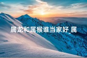 属龙和属猴谁当家好_属龙属猴谁当家：风水轮流转？