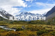 属龙人生辛丑日怎样