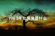 1963年女属兔是什么命(1963年女兔八字命理揭秘：命运之谜揭晓)