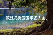 欧姓龙男宝宝取名大全、《欧姓龙男宝宝取名大全：寓意吉祥的名字精选》