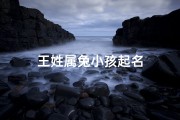 王姓属兔小孩起名