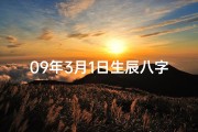 09年3月1日生辰八字揭秘：命运轨迹大解析