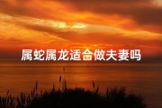 属蛇属龙适合做夫妻吗