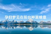 孕妇梦见在阳台种菜啥意思(孕妇梦见种菜生男生女)
