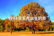 1994年五月出生的命怎么样—1994年5月命格：时光印记的轮回时刻