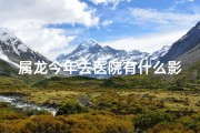 属龙今年去医院有什么影响吗、属龙今年适合怀孕吗