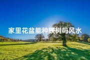 家里花盆能种铁树吗风水、家里花盆能种铁树？揭秘风水奥秘