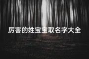 厉害的姓宝宝取名字大全(龙年出生的李姓男宝宝名字大全霸气刚正的男孩名字)