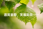 酒窝童颜，笑靥如花——有酒窝小孩的甜美名字大公开