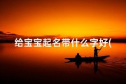 给宝宝起名带什么字好(鼠宝宝起名带什么字好)